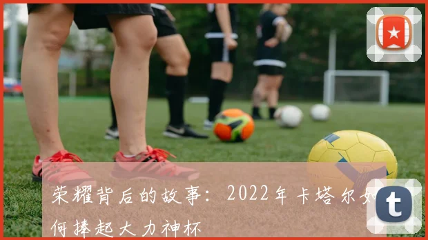 荣耀背后的故事：2022年卡塔尔如何捧起大力神杯